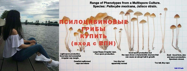 дмт Бугульма
