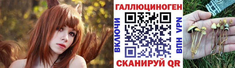 Псилоцибиновые грибы мухоморы Джанкой